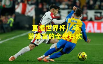 直播世界杯：绿茵盛宴的全民狂欢