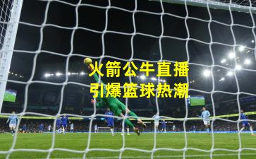 火箭公牛直播引爆篮球热潮