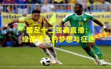 国足十二强赛直播：绿茵场上的梦想与征途