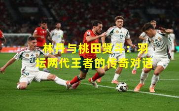  林丹与桃田贤斗：羽坛两代王者的传奇对话