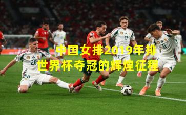 中国女排2019年排世界杯夺冠的辉煌征程