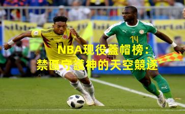 NBA现役蓋帽榜:禁區守護神的天空競逐