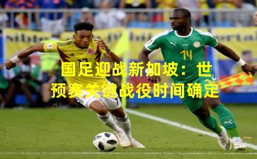 国足迎战新加坡:世预赛关键战役时间确定