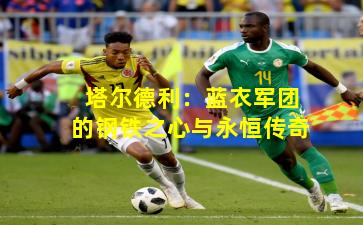 塔尔德利：蓝衣军团的钢铁之心与永恒传奇